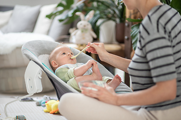 Image showing Mother spoon feeding her baby boy infant child in baby chair with fruit puree. Baby solid food introduction concept.