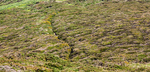 Image showing Footpath in Brittany