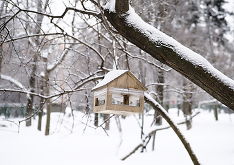 Image showing A birdhouse is hanging from a tree