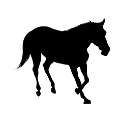 Image showing Horse Silhouette