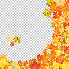 Image showing Autumn maple leaves 