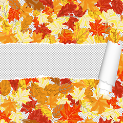 Image showing Autumn maple seamless pattern with ripped stripe