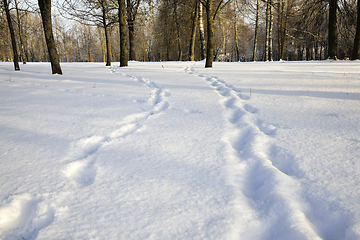 Image showing winter walking road