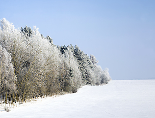 Image showing landscape in the winter time