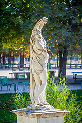 Image showing Venus callipyge statue in Tuileries Garden, Paris