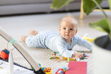Image showing Cute baby boy playing with hanging toys arch on mat at home Baby activity and play center for early infant development. Baby playing at home