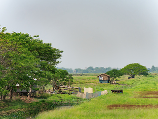 Image showing Homes at the Irrawaddy Delta in Myanmar