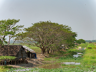 Image showing Homes at the Irrawaddy Delta in Myanmar