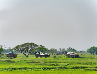 Image showing Homes at the Irrawaddy Delta in Myanmar