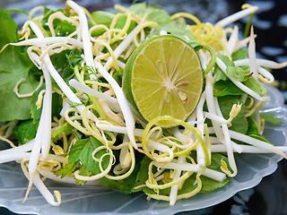 Image showing Vietnamese bean sprout salad with herbs and lime