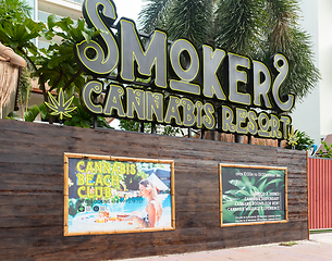 Image showing Legal cannabis in Pattaya, Thailand