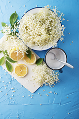 Image showing Elderflower cordial 