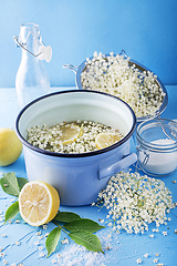 Image showing Elderflower cordial lemonade