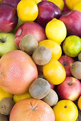 Image showing large group of winter citrus