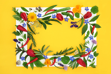 Image showing Herbs Spice and Flowers Food Seasoning Background Frame 