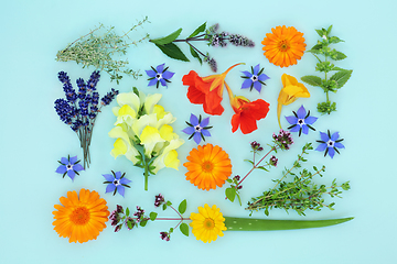 Image showing Summer Herbs and Flowers for Natural Aromatherapy Skincare 