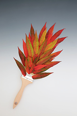 Image showing Autumn Leaves Vivid Red Paint Brush Splash