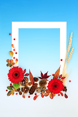 Image showing Vivid Autumn and Thanksgiving Background Frame