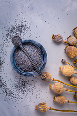 Image showing Organic poppy seeds in small bowl with poppy heads