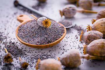 Image showing Organic poppy seeds in small bowl with poppy heads