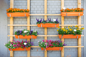 Image showing Outdoor hanging flower pots for small garden, patio or terrace