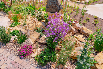 Image showing Landscaped natural rock garden with plants, succulents, rocks and stones.