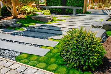 Image showing Conifer and slate path with bark mulch and native plants in Japanese garden. Landscaping and gardening concept.