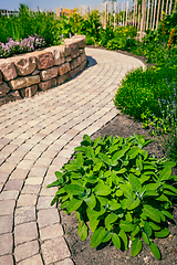 Image showing Paved path in herb garden and flower garden in patio and backyard