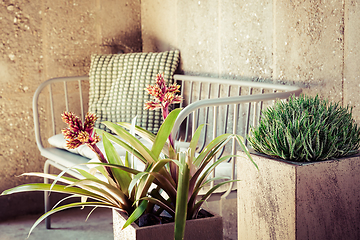 Image showing Home plants with cosy sofa and pillow, vintage style