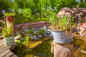 Image showing Natural garden with small patio, native plants, natural stones, pond and potted plants 