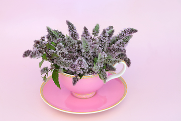 Image showing Peppermint Flower Leaf Tea for Digestive Health