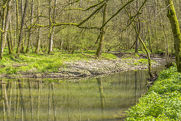 Image showing waterside scenery at spring time