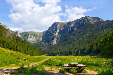 Image showing Mountain glade Wielka Polana Malolacka in Poland