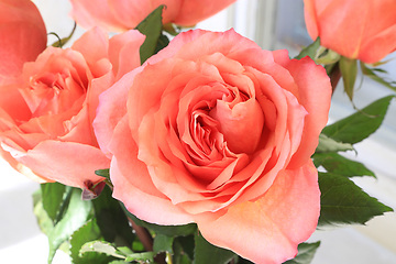 Image showing Beautiful bouquet of delicate coral roses