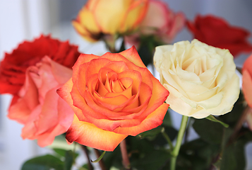 Image showing Beautiful bouquet of delicate colorful roses