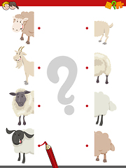 Image showing match the halves of sheep