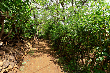 Image showing path in walled village tribes Konso, Ethiopia