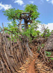 Image showing fantastic walled village tribes Konso, Ethiopia