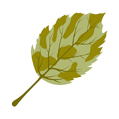 Image showing Autumn Birch Leaf