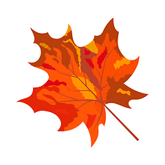 Image showing Autumn Maple Leaf