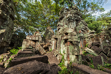 Image showing Ancient ruins and tree roots, Ta Prohm temple, Angkor, Cambodia