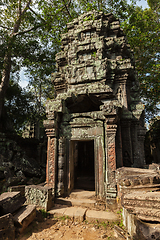 Image showing Ancient ruins and tree roots, Ta Prohm temple, Angkor, Cambodia