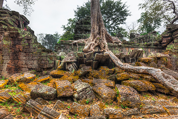 Image showing Ancient ruins and tree roots, Ta Prohm temple, Angkor, Cambodia