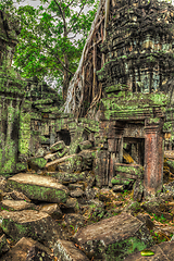 Image showing Ancient ruins and tree roots, Ta Prohm temple, Angkor, Cambodia