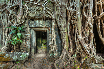 Image showing Ancient stone door and tree roots, Ta Prohm temple, Angkor
