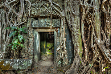 Image showing Ancient stone door and tree roots, Ta Prohm temple, Angkor