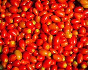 Image showing Red small sweet tomatoes background