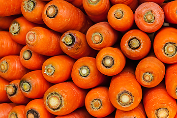 Image showing Carrots close up