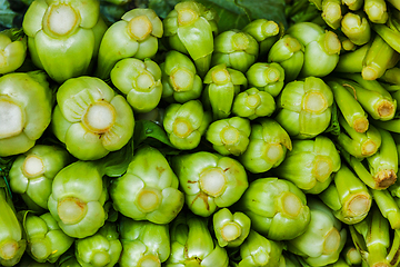 Image showing Chinese cabbage close up