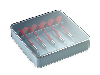 Image showing Transparent box with five red darts